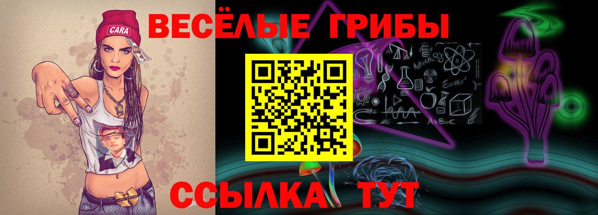 Псилоцибиновые грибы мицелий Воскресенск